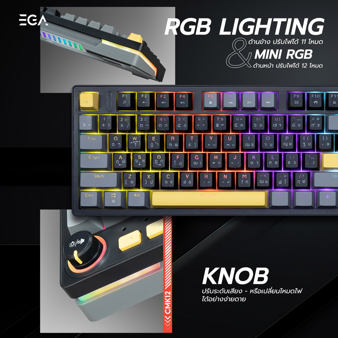 MACRO MECHANICAL KEYBOARD : EGA TYPE CMK12 (LAYOUT B)_RED SWITCH #2Y