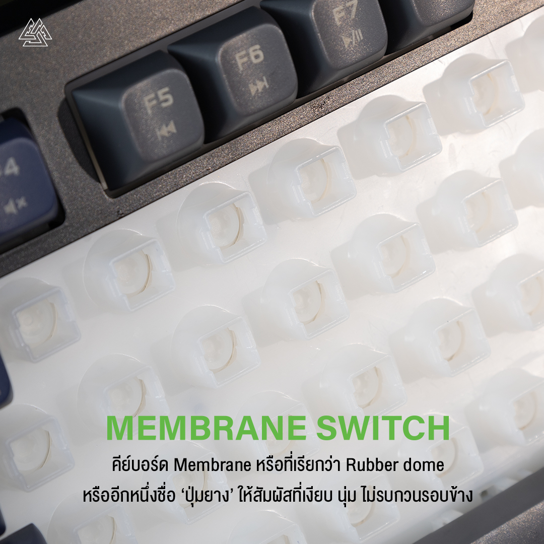 USB KEYBOARD : EGA TYPE K11 (PURPLE/GRAY) #2Y