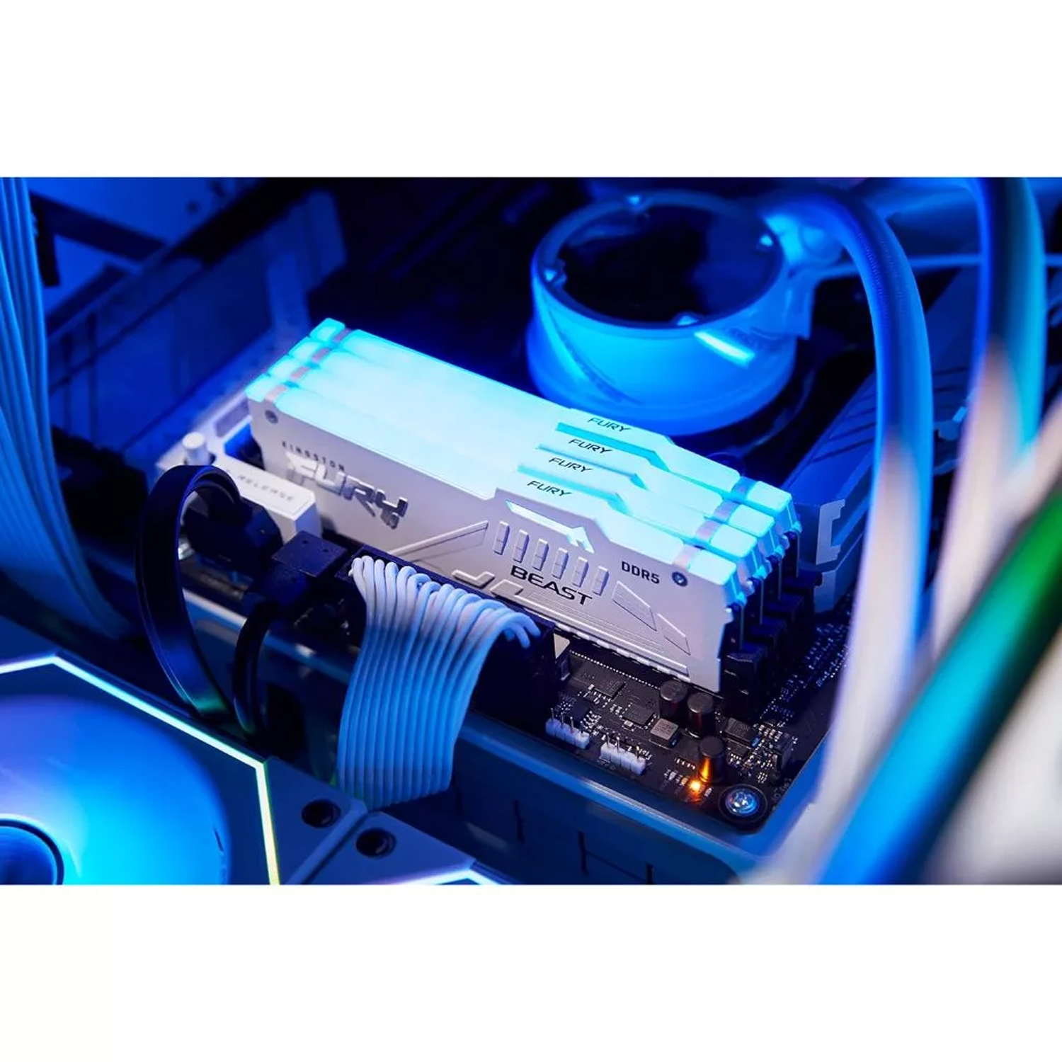 RAM PC : DDR5(5200) 16GB KINGSTON FURY BEAST RGB WHITE XMP (KF552C40BWA-16) #LT
