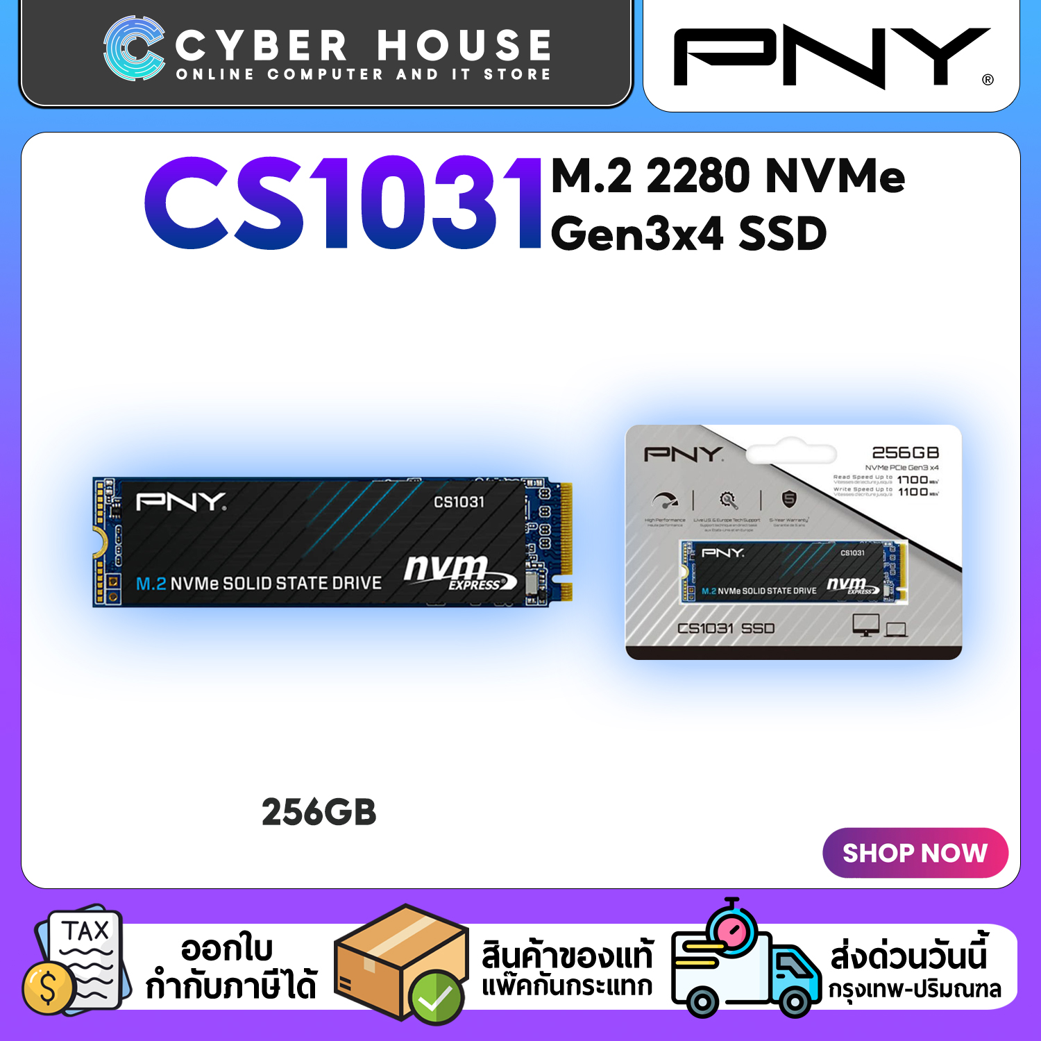 SSD M.2 PCle : 256GB PNY CS1031 (M280CS1031-256-CL) #5Y